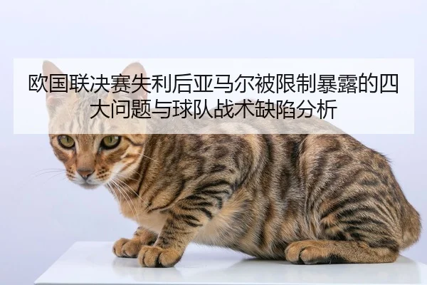 ou-guo-lian-jue-sai-shi-li-hou-ya-ma-er-bei-xian-zhi-bao-lu-de-si-da-wen-ti-yu-qiu-dui-zhan-shu-que-xian-fen-xi-2-813.jpg