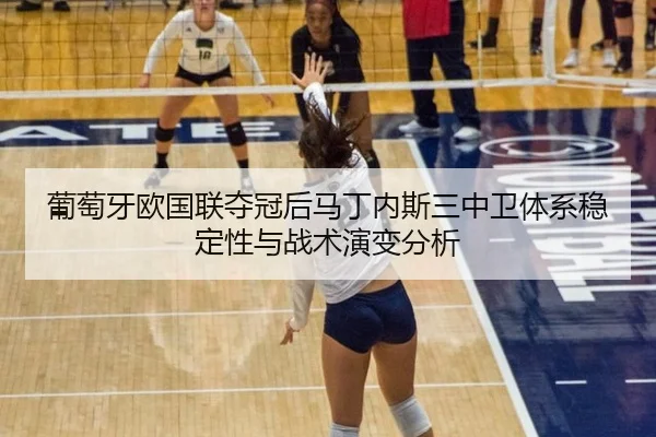 pu-tao-ya-ou-guo-lian-duo-guan-hou-ma-ding-nei-si-san-zhong-wei-ti-xi-wen-ding-xing-yu-zhan-shu-yan-bian-fen-xi-2-455.jpg