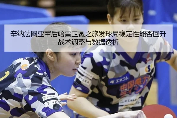 辛纳法网亚军后哈雷卫冕之旅发球局稳定性能否回升战术调整与数据透析